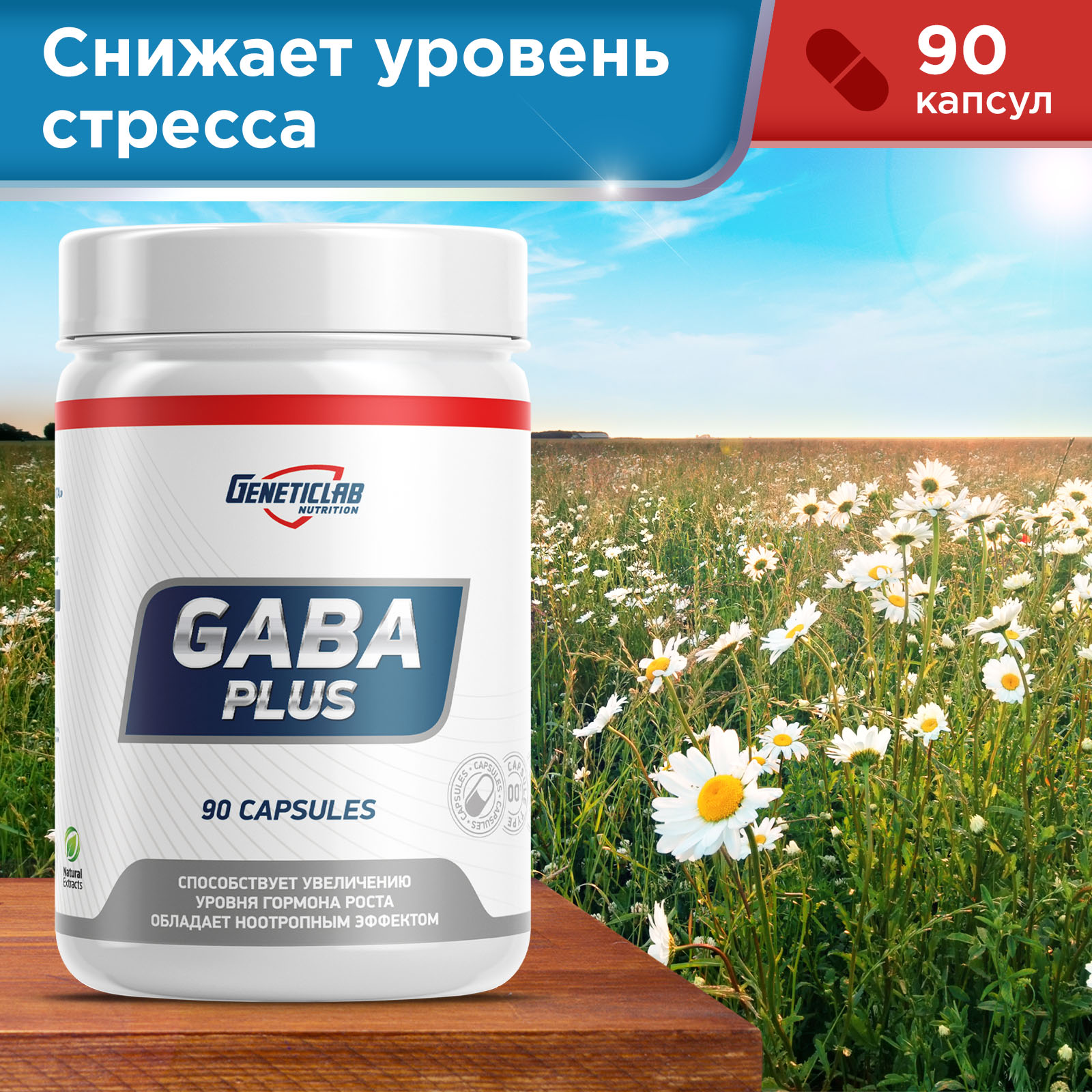 Габа GABA PLUS 90 капсул